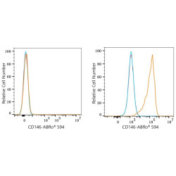 ABflo® 594 Rabbit anti-Mouse CD146 mAb
