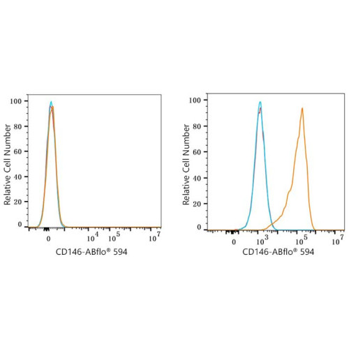 ABflo® 594 Rabbit anti-Mouse CD146 mAb