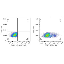 ABflo® 488 Rabbit anti-Human CD177 mAb
