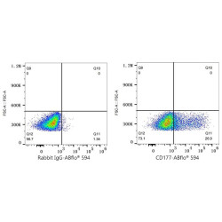 ABflo® 594 Rabbit anti-Human CD177 mAb