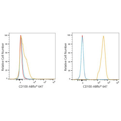 Semaphorin-4D/CD100 Rabbit mAb
