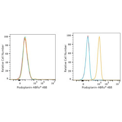 ABflo® 488 Rabbit anti-Human Podoplanin mAb
