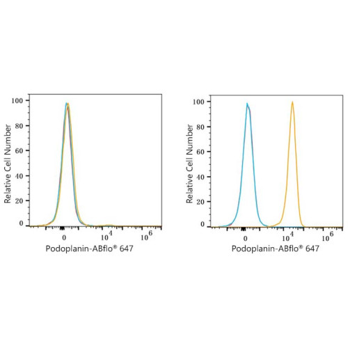 ABflo® 647 Rabbit anti-Human Podoplanin mAb