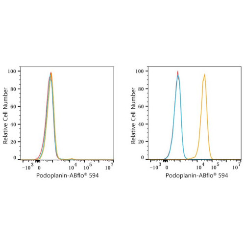 ABflo® 594 Rabbit anti-Human Podoplanin mAb