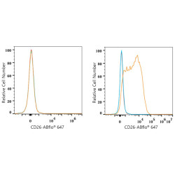 ABflo® 647 Rabbit anti-Human CD26/DPP4 mAb