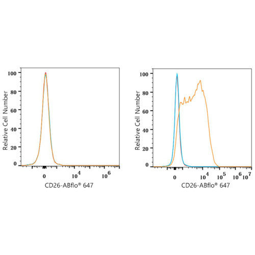 ABflo® 647 Rabbit anti-Human CD26/DPP4 mAb