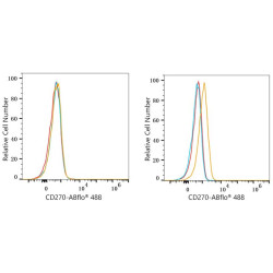 ABflo® 488 Rabbit anti-Human CD270/HVEM mAb