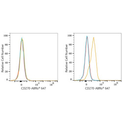 ABflo® 647 Rabbit anti-Human CD270/HVEM mAb