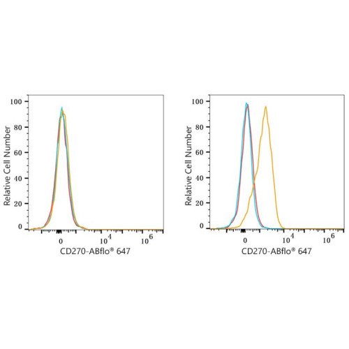 ABflo® 647 Rabbit anti-Human CD270/HVEM mAb