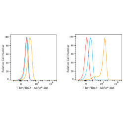 ABflo® 488 Rabbit anti-Human T-bet/Tbx21 mAb