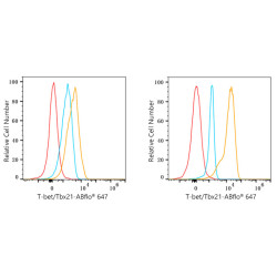 ABflo® 647 Rabbit anti-Human T-bet/Tbx21 mAb