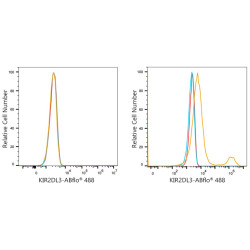 ABflo® 488 Rabbit anti-Human CD158b/KIR2DL2/KIR2DL3 mAb