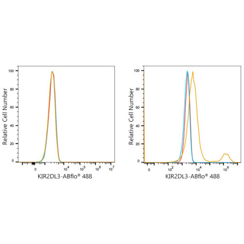 ABflo® 488 Rabbit anti-Human CD158b/KIR2DL2/KIR2DL3 mAb