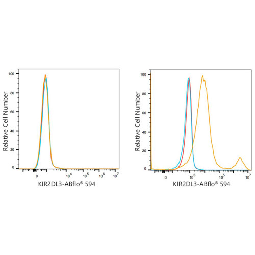 ABflo® 594 Rabbit anti-Human CD158b/KIR2DL2/KIR2DL3 mAb