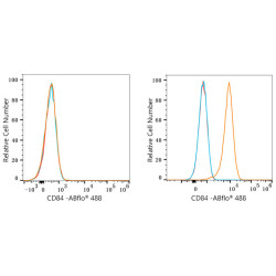 ABflo® 488 Rabbit anti-Human CD84 mAb