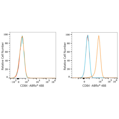ABflo® 488 Rabbit anti-Human CD84 mAb