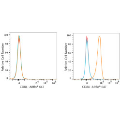 ABflo® 647 Rabbit anti-Human CD84 mAb