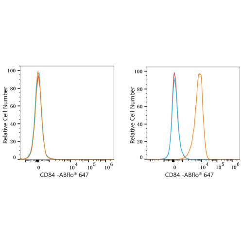ABflo® 647 Rabbit anti-Human CD84 mAb
