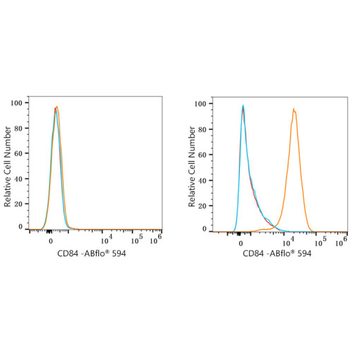 ABflo® 594 Rabbit anti-Human CD84 mAb