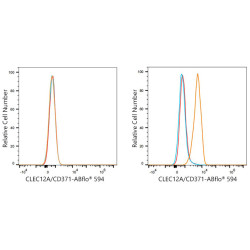 ABflo® 594 Rabbit anti-Human CD371/CLEC12A mAb