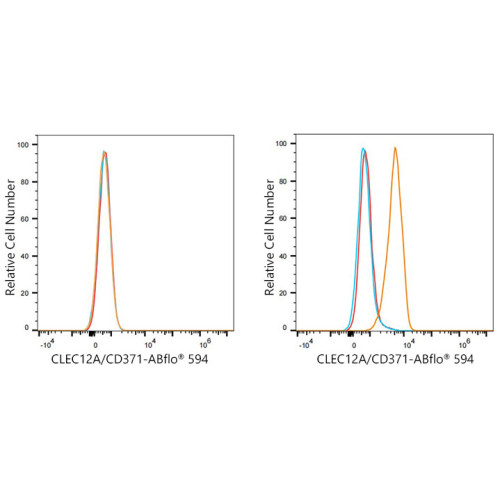 ABflo® 594 Rabbit anti-Human CD371/CLEC12A mAb