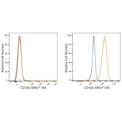 ABflo® 594 Rabbit anti-Human CD166/ALCAM mAb