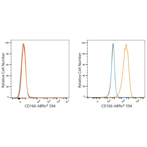 ABflo® 594 Rabbit anti-Human CD166/ALCAM mAb
