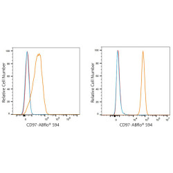 ABflo® 594 Rabbit anti-Human CD97 mAb