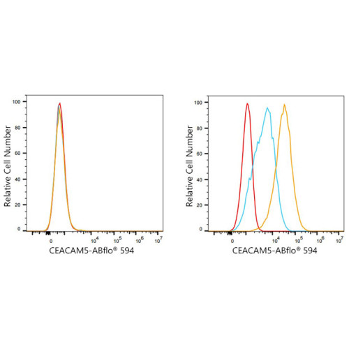 ABflo® 594 Rabbit anti-Human CD66e/CEACAM5 mAb