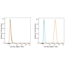 ABflo® 594 Rabbit anti-Human CD146 mAb