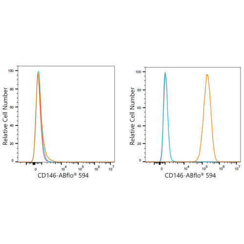 ABflo® 594 Rabbit anti-Human CD146 mAb
