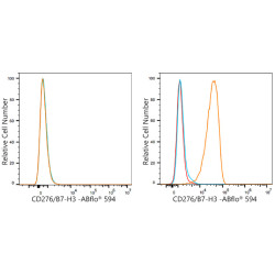 ABflo® 594 Rabbit anti-Human/Mouse CD276/B7-H3 mAb