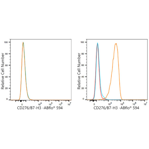 ABflo® 594 Rabbit anti-Human/Mouse CD276/B7-H3 mAb