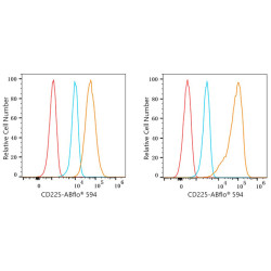 ABflo® 594 Rabbit anti-Human CD225/IFITM1 mAb
