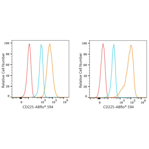 ABflo® 594 Rabbit anti-Human CD225/IFITM1 mAb