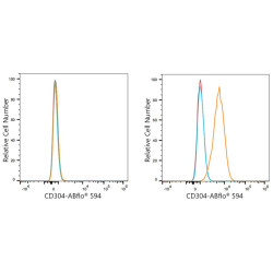 ABflo® 594 Rabbit anti-Human CD304/Neuropilin-1 mAb
