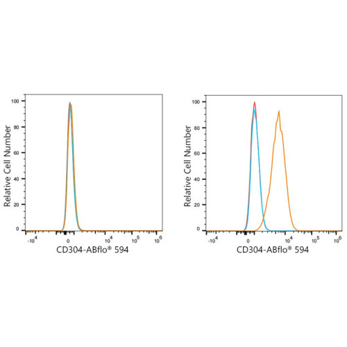 ABflo® 594 Rabbit anti-Human CD304/Neuropilin-1 mAb