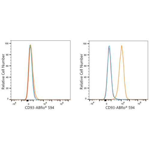 ABflo® 594 Rabbit anti-Human CD93 mAb