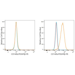PE Rabbit anti-Human CD140b/PDGFRβ mAb