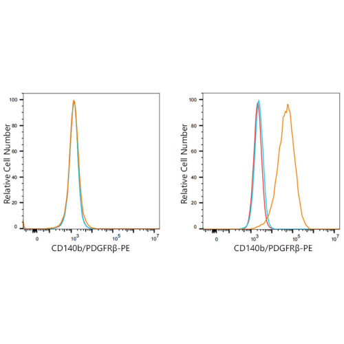 PE Rabbit anti-Human CD140b/PDGFRβ mAb