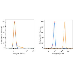 PE Rabbit anti-Human Integrin β5/ITGB5 mAb