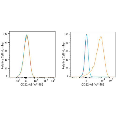 ABflo® 488 Rabbit anti-Human CD22 mAb