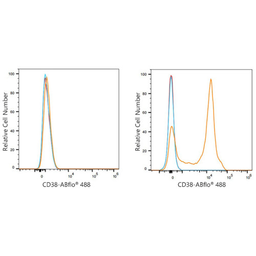 ABflo® 488 Rabbit anti-Mouse CD38 mAb