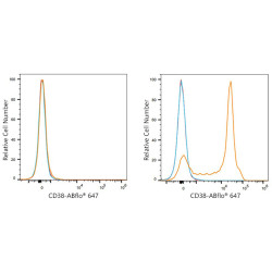 ABflo® 647 Rabbit anti-Mouse CD38 mAb