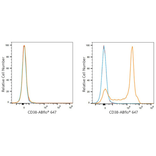 ABflo® 647 Rabbit anti-Mouse CD38 mAb