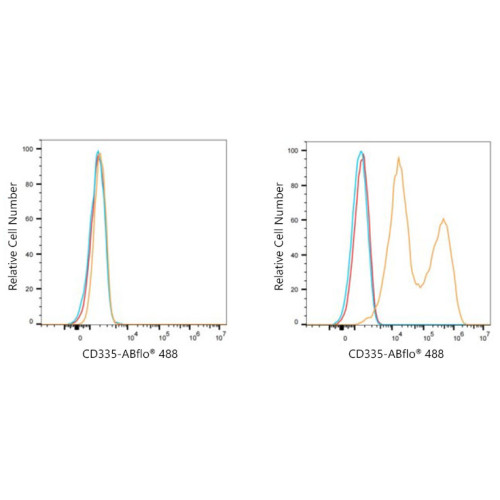 ABflo® 488 Rabbit anti-Human CD335/NKp46 mAb