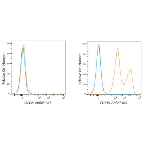 ABflo® 647 Rabbit anti-Human CD335/NKp46 mAb