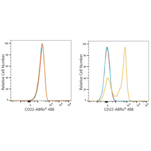 ABflo® 488 Rabbit anti-Mouse CD22 mAb