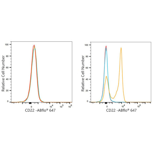 ABflo® 647 Rabbit anti-Mouse CD22 mAb