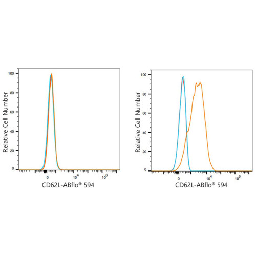 ABflo® 594 Rabbit anti-Human CD62L/L-Selectin mAb